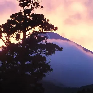 传统日式旅馆 华之宿日式旅馆 ****